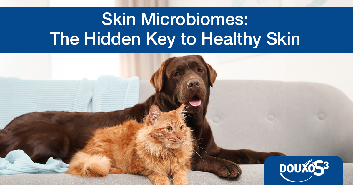 Skin microbiomes: the hidden key to healthy pet skin