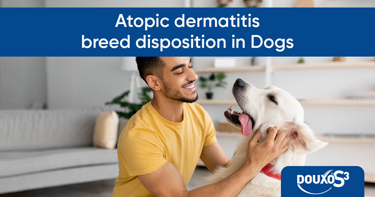 Atopic dermatitis: breed disposition in dogs