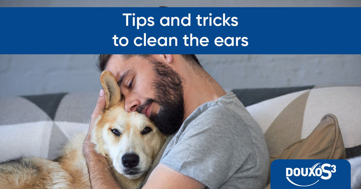 Tips and Tricks to Clean the Ears