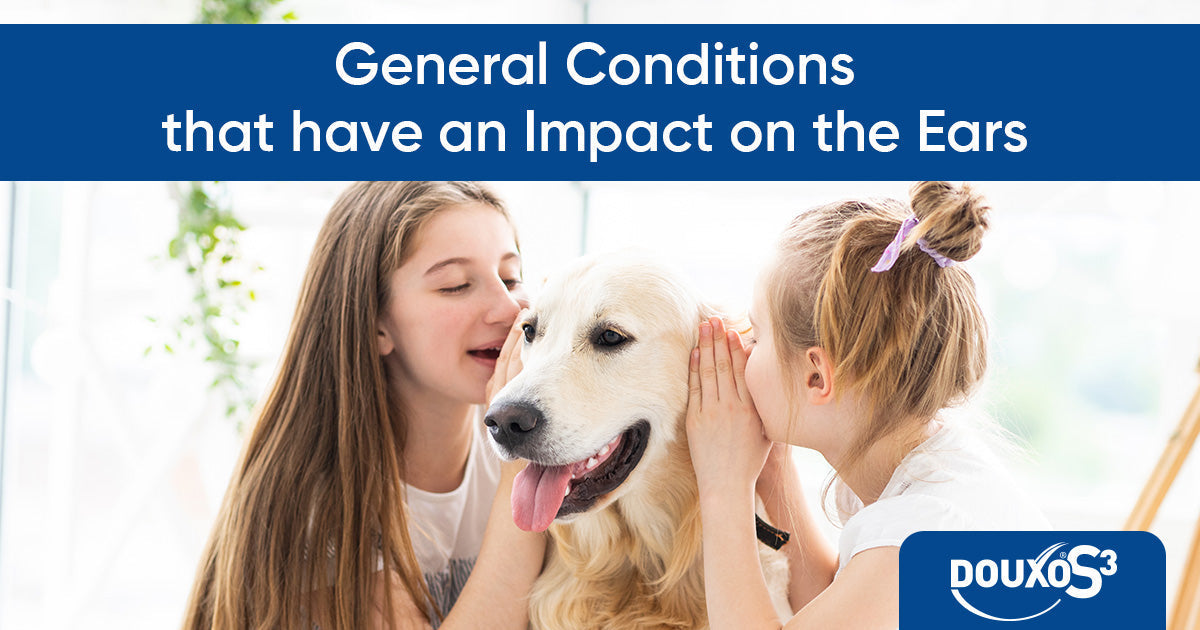 Does your dog just have an Ear Infection... Or is it a symptom of something else?