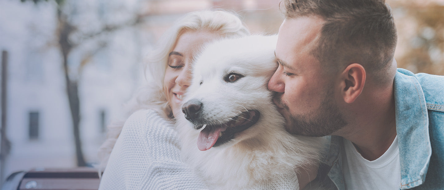 Paar mit Hund, Titelbild der DOUXO Startseite