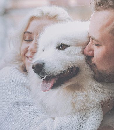 Paar mit Hund, Titelbild der DOUXO Startseite