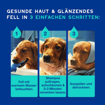 DOUXO® SPA Hundeshampoo gegen Geruch