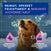 DOUXO® SPA Hundeshampoo für empfindliche & juckende Haut