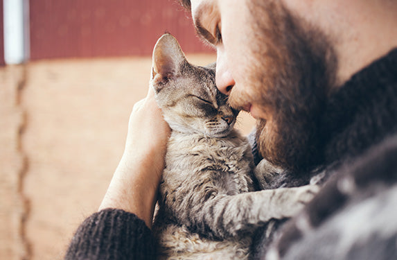 Nahaufnahme von einem bärtigen Mann, der mit einer grau gestreiften Katze kuschelt.