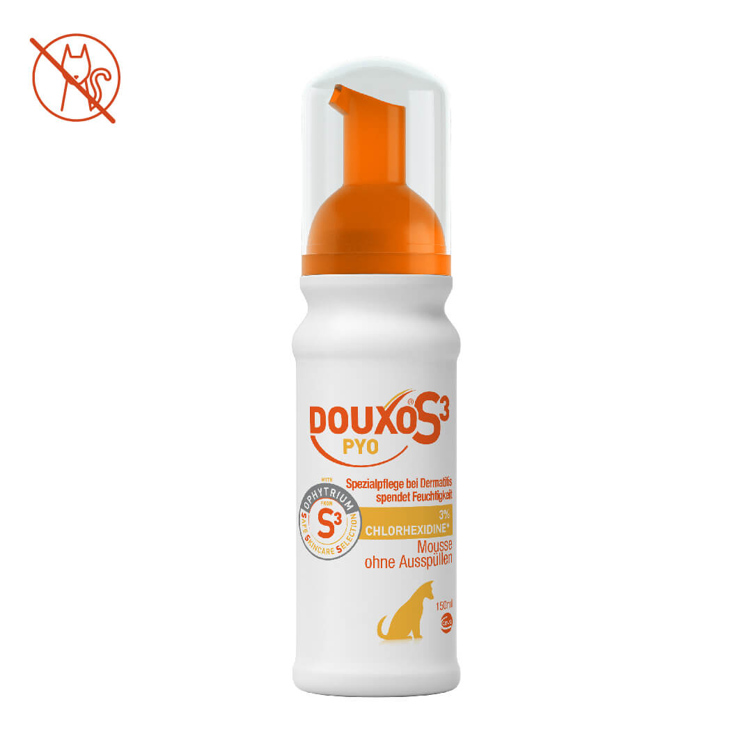 DOUXO® S3 PYO Mousse