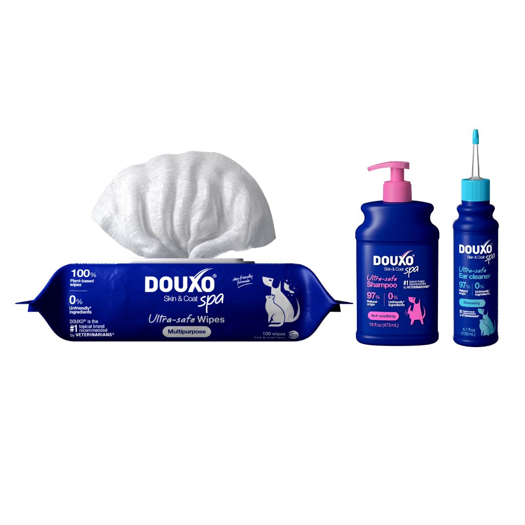 DOUXO® SPA Spar-Paket Regelmäßige Pflege Medium