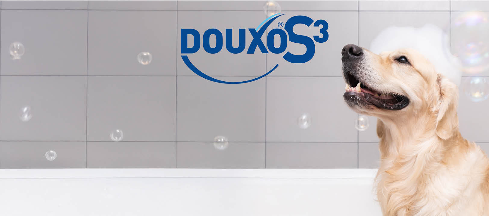 DOUXO S3 Titelbild mit Logo, Hund mit Shampoo auf dem Kopf