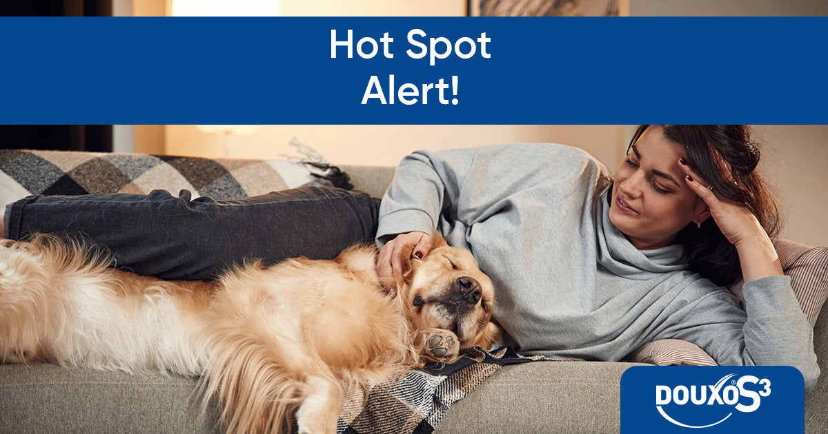 Hot spot alert!