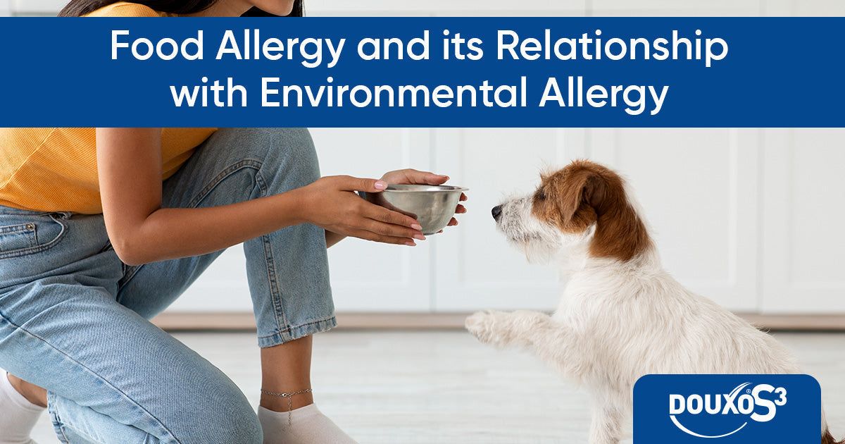 Food allergy and its relationship with environmental allergy