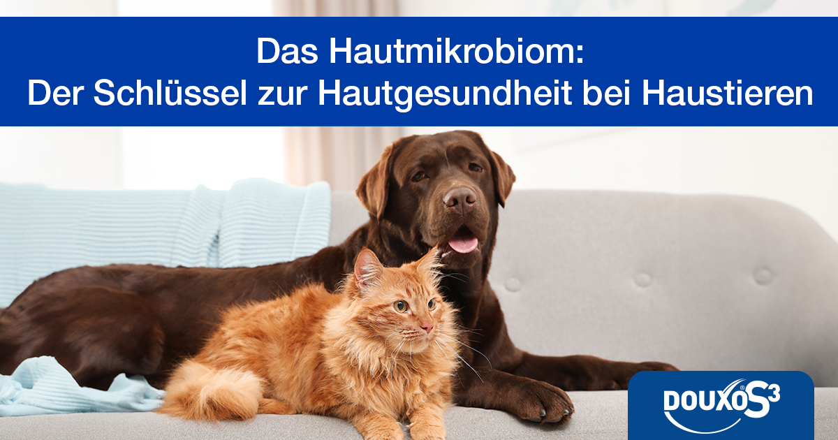 Das Hautmikrobiom: Der Schlüssel zur Hautgesundheit bei Haustieren