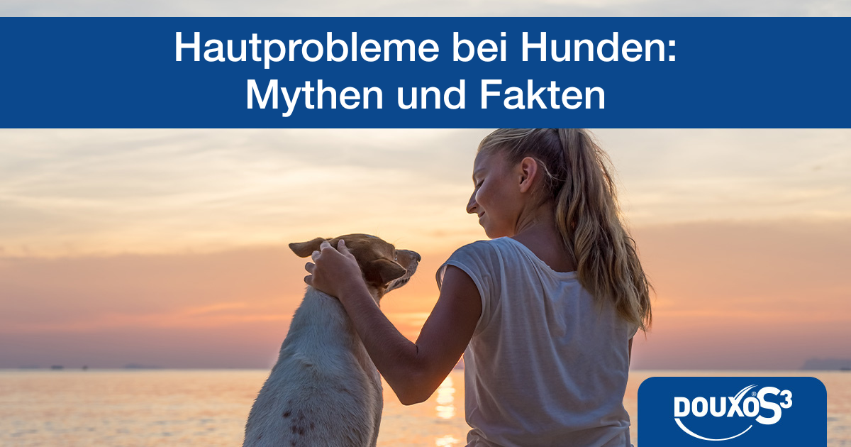 Hautprobleme bei Hunden - Mythen und Fakten