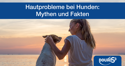 Hautprobleme bei Hunden - Mythen und Fakten