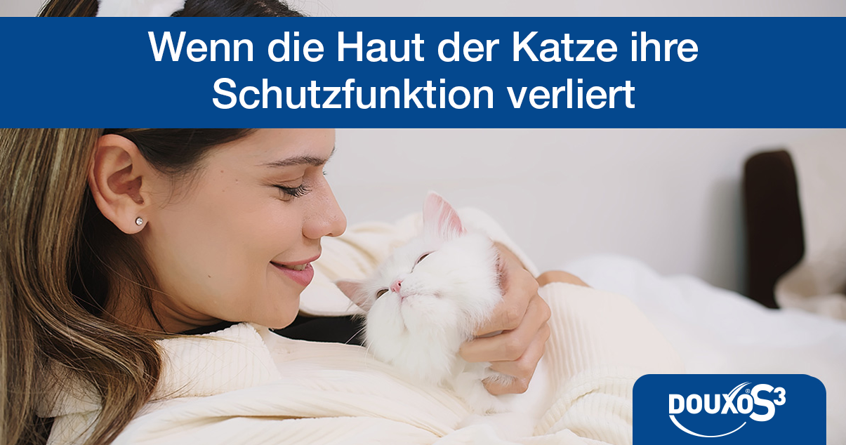 Wenn die Haut der Katze ihre Schutzfunktion verliert