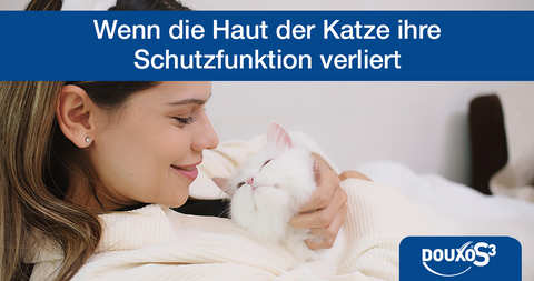 Wenn die Haut der Katze ihre Schutzfunktion verliert