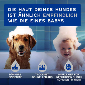 DOUXO® SPA Feuchttücher