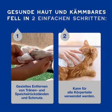DOUXO® SPA Feuchttücher