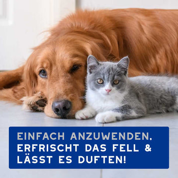DOUXO® SPA Feuchttücher
