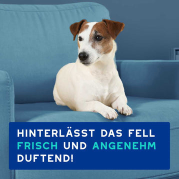 DOUXO® SPA Hundeshampoo gegen Geruch