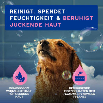 DOUXO® SPA Hundeshampoo für empfindliche & juckende Haut