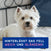 DOUXO® SPA Hundeshampoo für empfindliche & juckende Haut