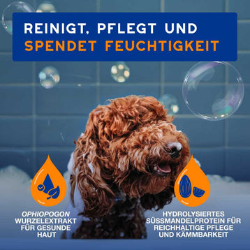 DOUXO® SPA Langhaarpflege für Hunde Groß