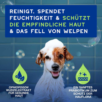DOUXO® SPA Spar-Paket Welpe Groß