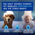 DOUXO® SPA Trockenshampoo für Hunde
