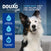 DOUXO® SPA Trockenshampoo für Hunde