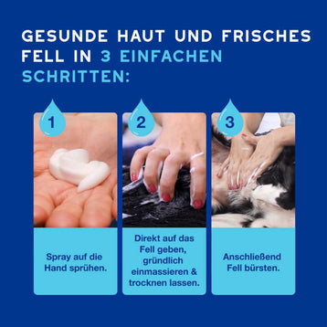 DOUXO® SPA Trockenshampoo für Hunde