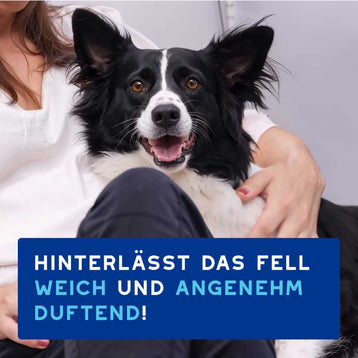 DOUXO® SPA Trockenshampoo für Hunde