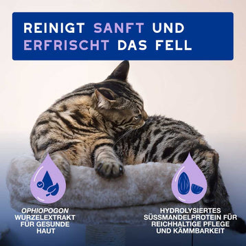 DOUXO® SPA Trockenshampoo für Katzen