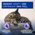 DOUXO® SPA Trockenshampoo für Katzen