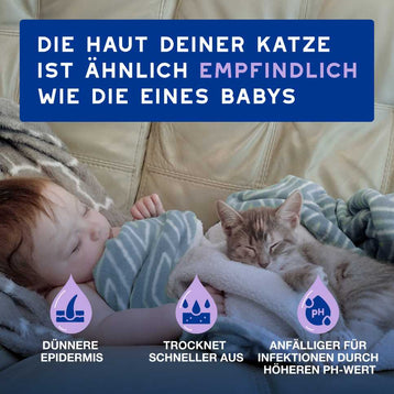 DOUXO® SPA Trockenshampoo für Katzen
