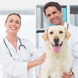 Eine Ärztin und ein Arzt lächeln mit einem hellen Labrador in die Kamera
