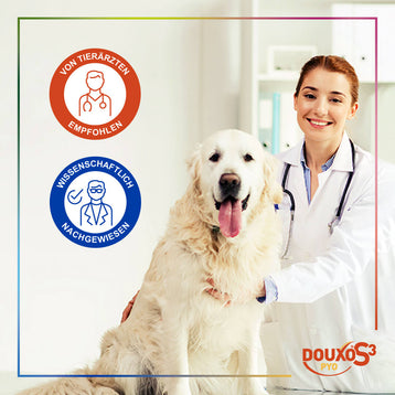 DOUXO® S3 PYO Spar-Paket medium
