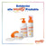 DOUXO® S3 PYO Shampoo