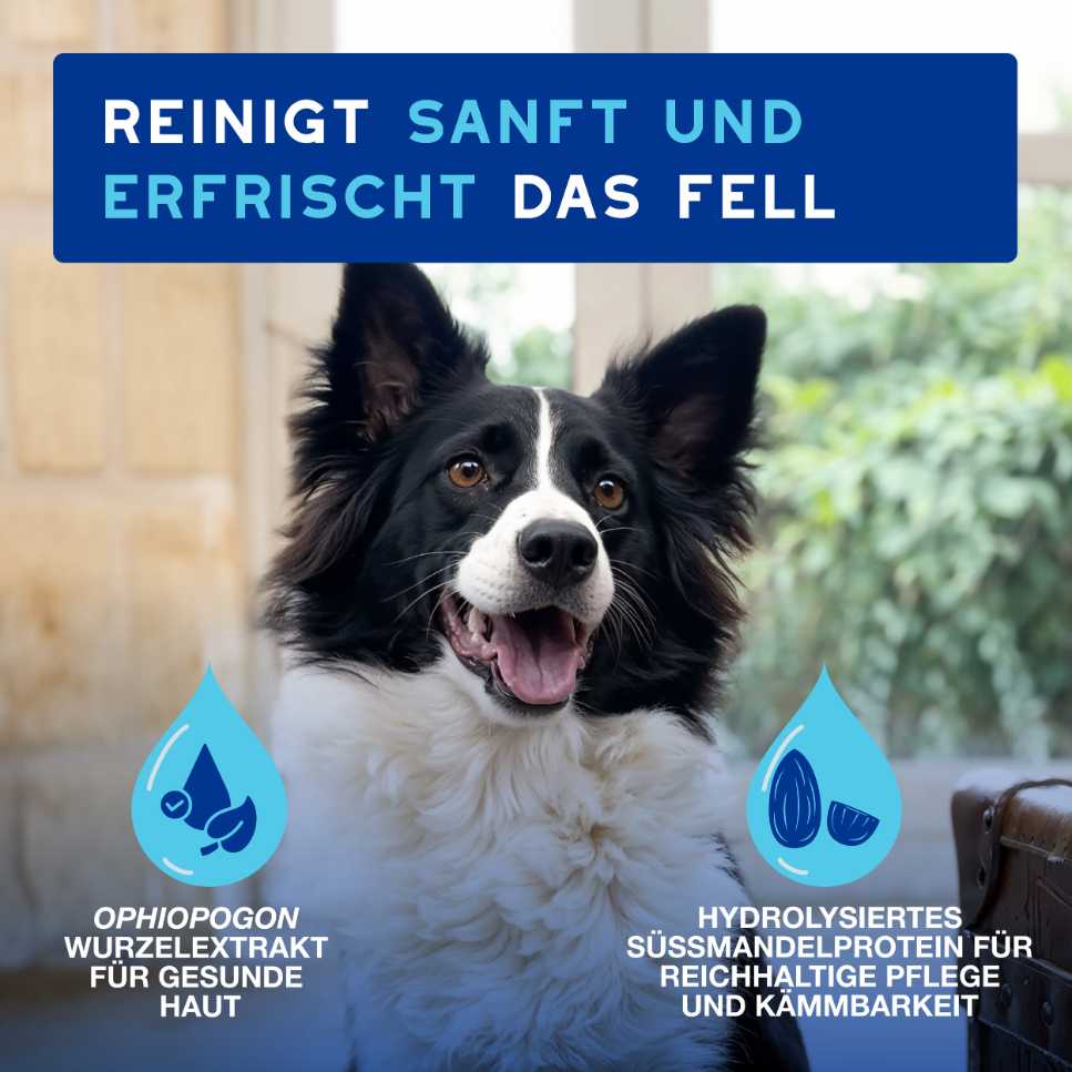 DOUXO® SPA Spar-Paket für Reisen klein